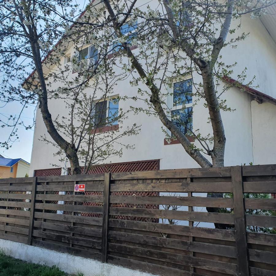 Vila Tami Apartamento Costinesti Exterior foto